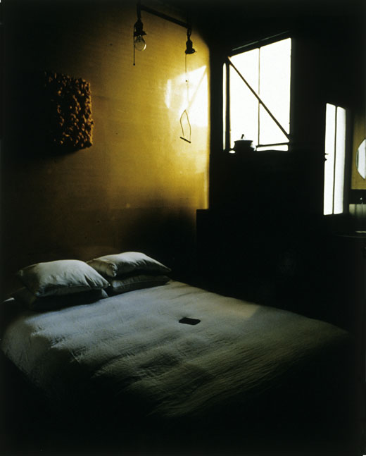 David Ireland's Bed